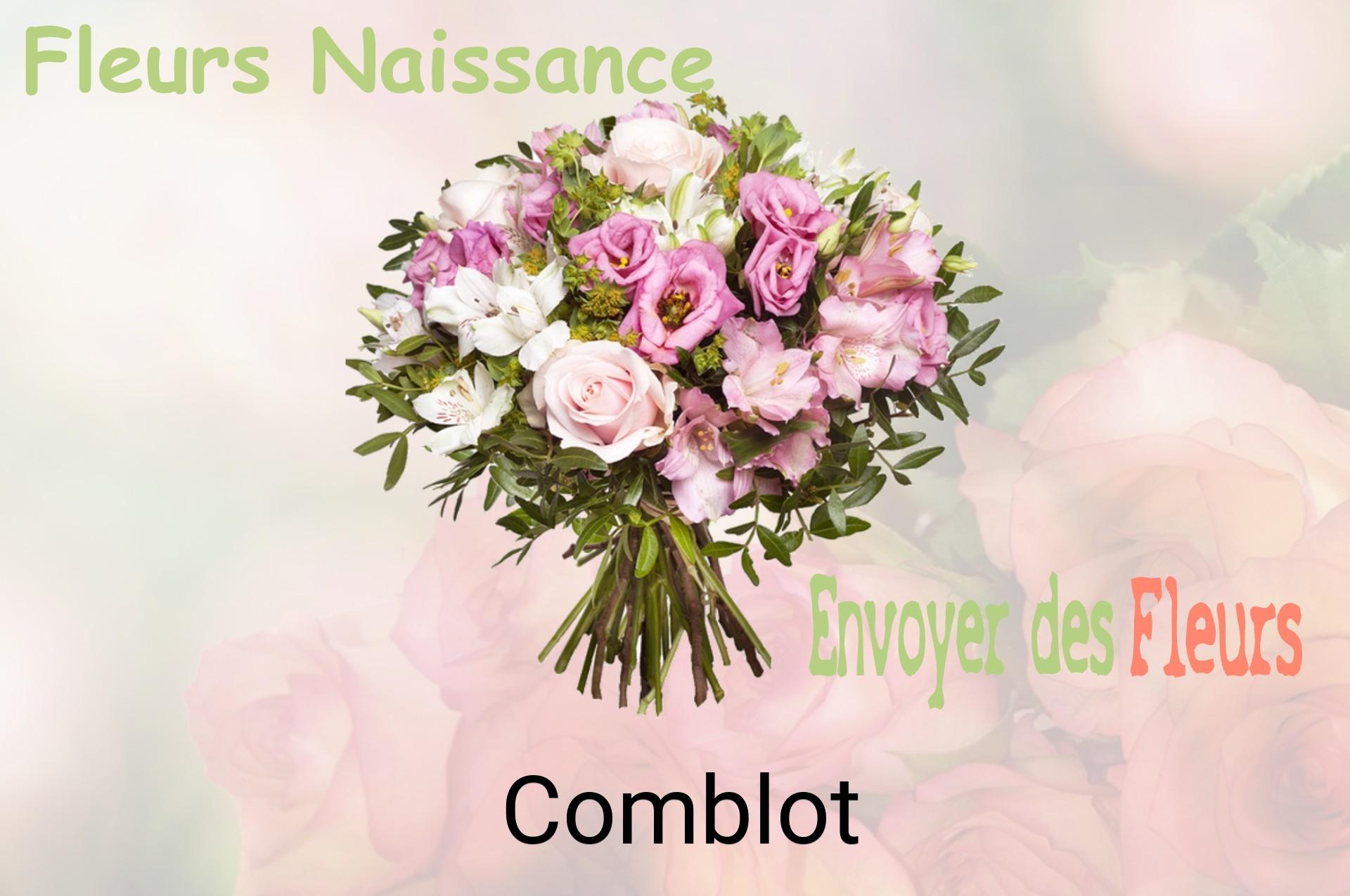 Bouquet de fleurs de naissance livré à Comblot