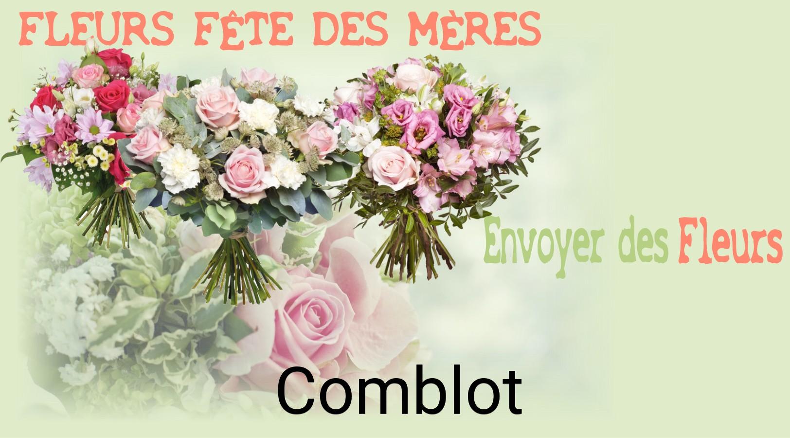 Bouquet de Fête des Mères livré à Comblot